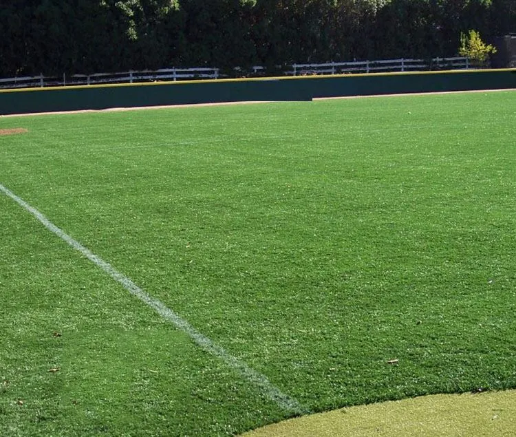 baseball turf field