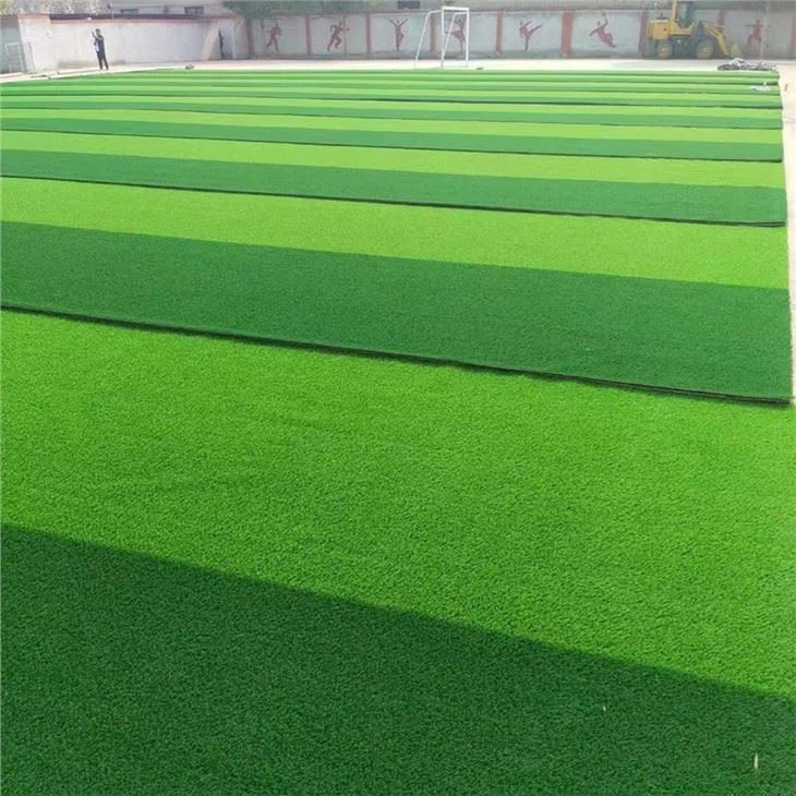 soccer grass