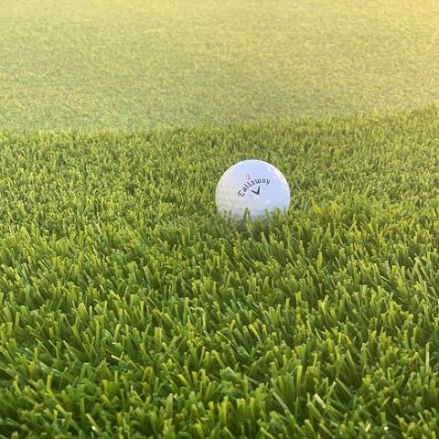 putting grass1