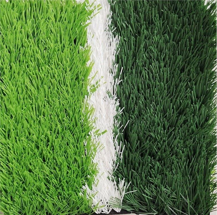 Football grass6
