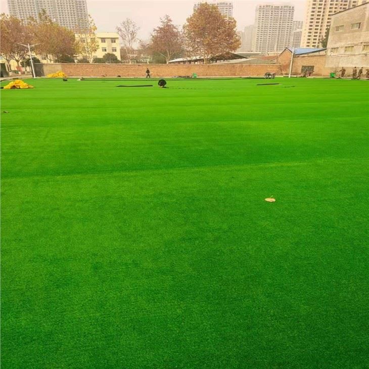SDMS Football Artificial Grass